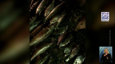 На Синаре задержали браконьеров