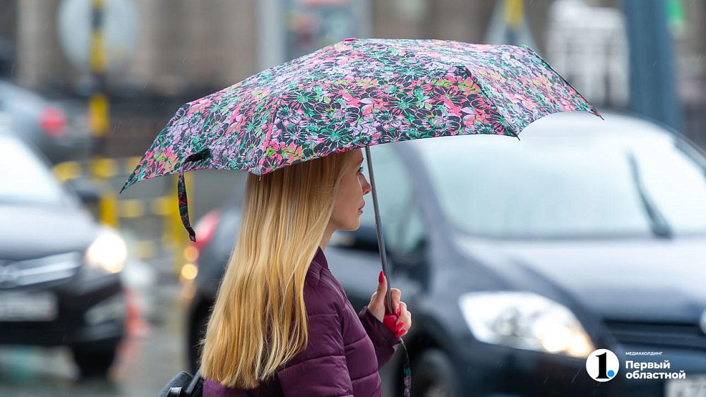 В Челябинской области ожидается дождливая и ветреная погода