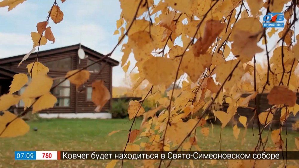 Жизнь на свежем воздухе в сюжете «Плюсы загородной жизни»