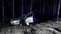 На трассе в Челябинской области в перевернувшемся авто пострадали двое детей