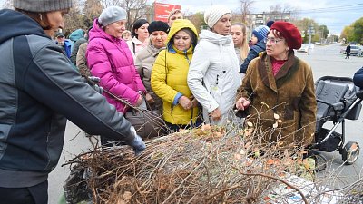 ЧМК раздал челябинцам более 9 тыс. саженцев деревьев