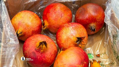 В Челябинской области уничтожили 700 кг гранатов из Узбекистана