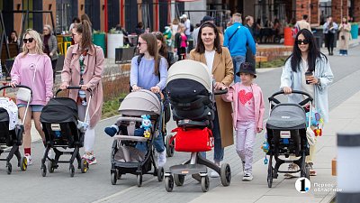 Маткапитал разрешили тратить на образовательные услуги ИП