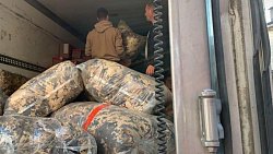 Челябинцы собрали 15 тонн гуманитарной помощи батальону «Апостол»