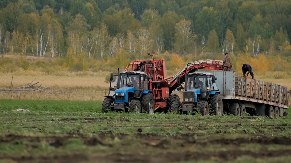 Фермерское хозяйство «Набот» — лидер овощеводства Южного Урала