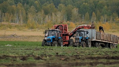 Фермерское хозяйство «Набот» — лидер овощеводства Южного Урала