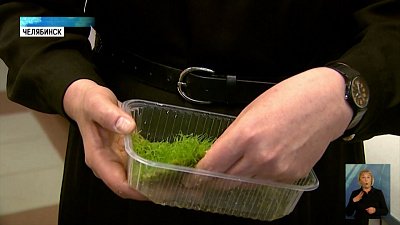 Ученые ЮУрГУ разработали «умное цифровое дерево»