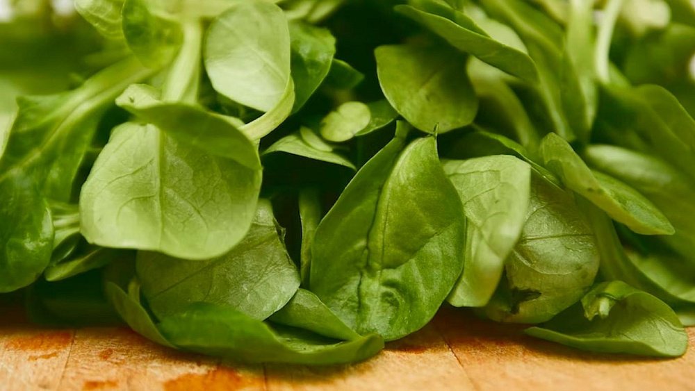 Эти зеленые овощи не дадут мозгу постареть