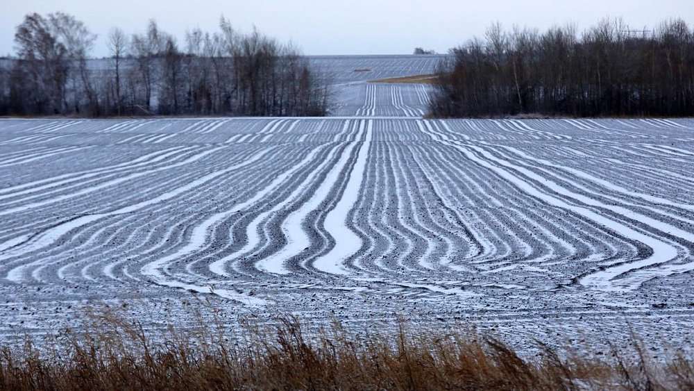 В Челябинской области прошел снег
