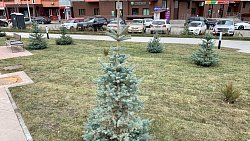 В Челябинске благоустроили новую пешеходную улицу