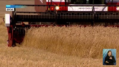 Аграрии региона собрали больше двух тонн зерна