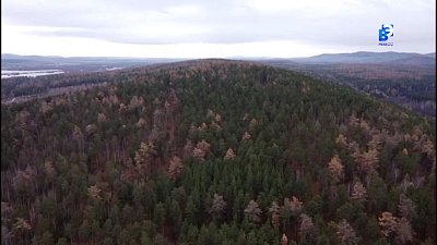 За браконьерами теперь следят дроны