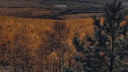 Возле туристического приюта в нацпарке «Таганай» заметили лису