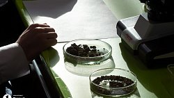 Алексей Текслер назвал главные задачи для развития «Курчатов Центра» в Челябинской области