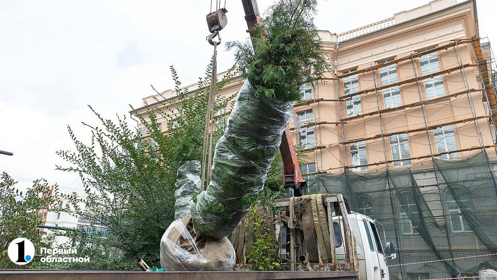Дело о сговоре при озеленении центра Челябинска передали в полицию