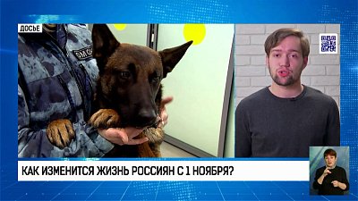 Как изменится жизнь россиян с 1 ноября?