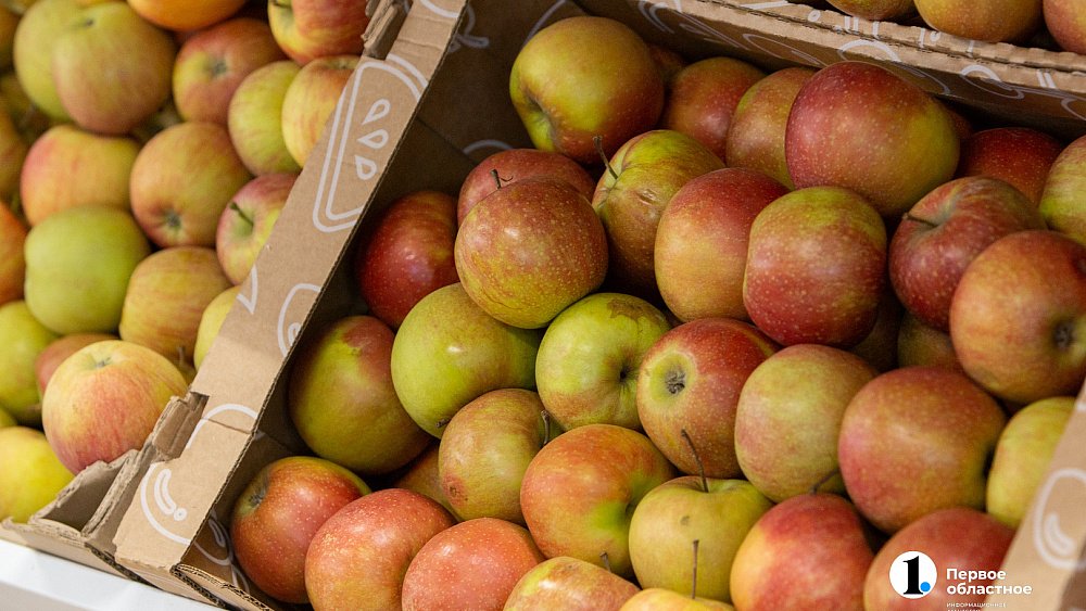 В крупных торговых сетях страны впервые появились яблоки из Челябинской области