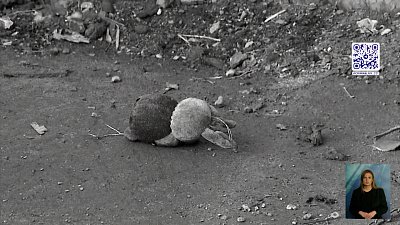 В Сосновском районе погиб 2-месячный ребенок