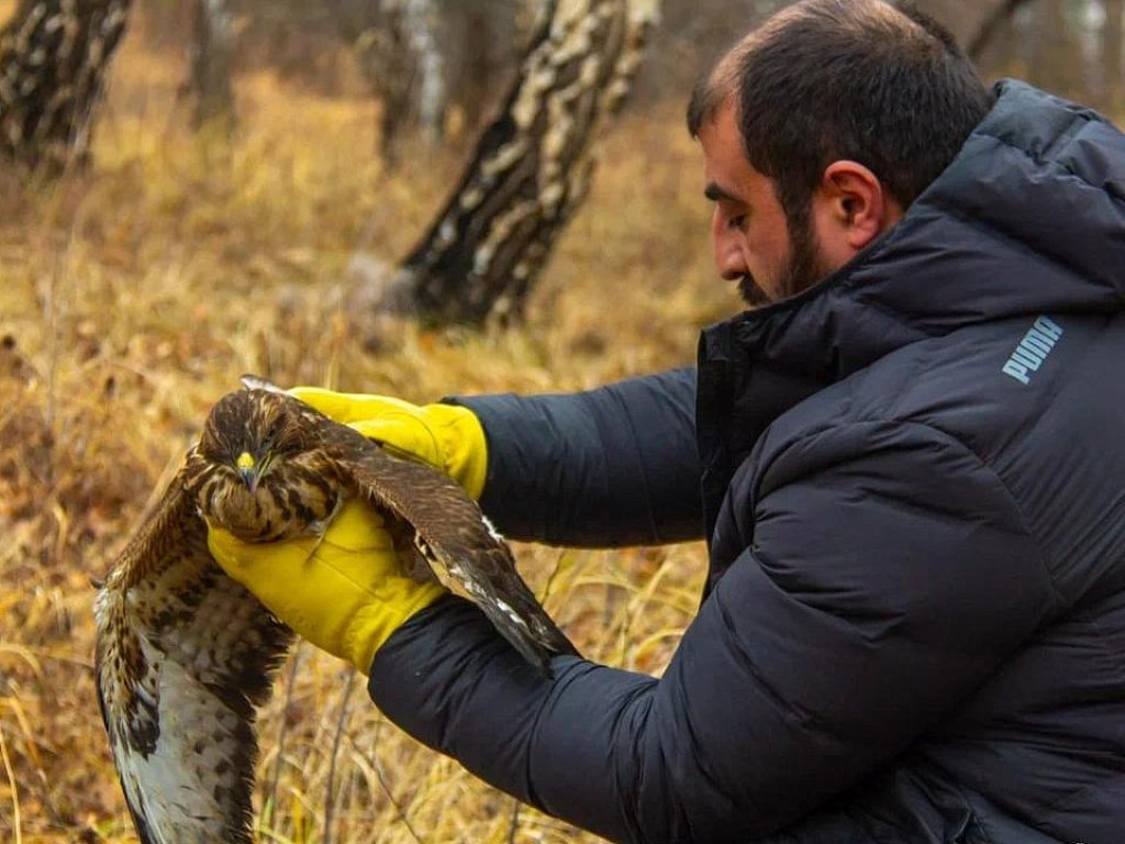 Зоозащитники освободили диких животных в природу