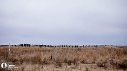 Как в Чебаркуле проходит боевое слаживание мобилизованных: фоторепортаж