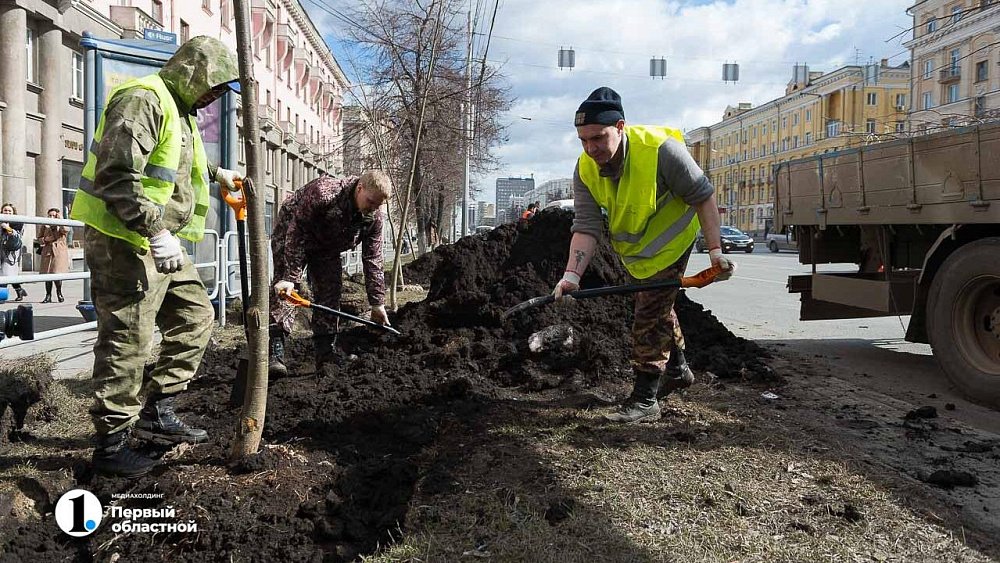 Высадка деревьев в Челябинске продолжится до 1 декабря