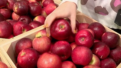 На полках магазинов Челябинской области появились местные яблоки