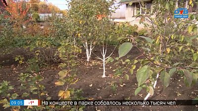 Рецепт правильной побелки в рубрике «Руки садовода»