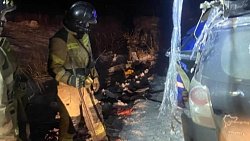 Два человека погибли в ДТП с большегрузом на трассе в Челябинской области