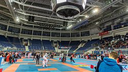 Южноуральские каратисты завоевали 18 медалей на «Кубке Дружбы»