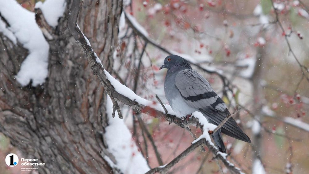 Что нельзя делать в день Параскевы Пятницы, 10 ноября