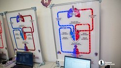 Челябинский колледж получил новейшие мастерские для обучения медсестер