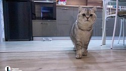 Жители новостроек в Магнитогорске остались без отопления в канун зимы