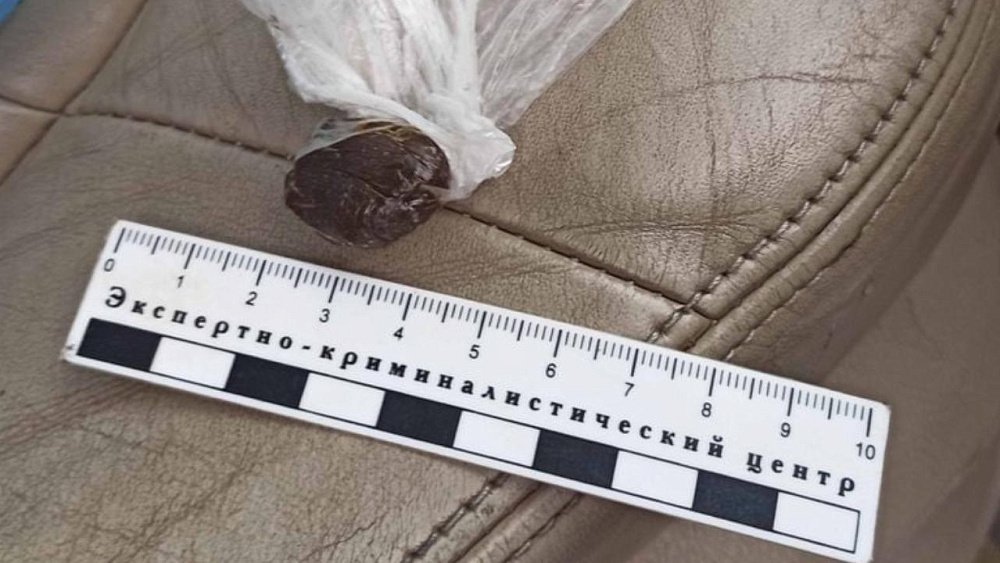 В Челябинской области инспекторы ДПС изъяли у пассажирки Audi 500 граммов гашиша