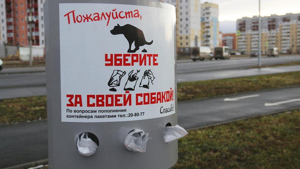 Магнитогорцев попросили использовать по назначению пакеты для выгула собак