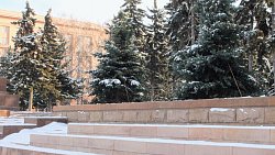 В Челябинске в сквере на площади Революции высадили новые пятиметровые ели