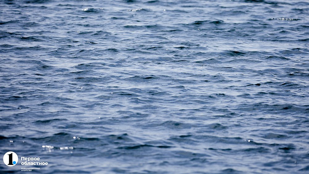 В Челябинске привлекут ученых для исследования реабилитации Шершневского водохранилища