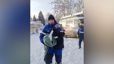 В Озерске спасли краснокнижного лебедя с замерзшего озера