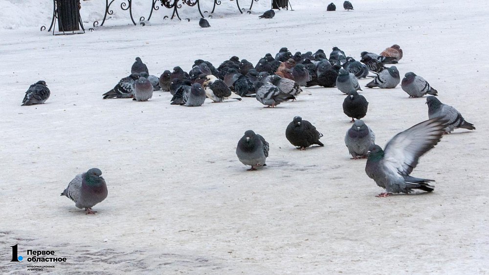 В Челябинскую область возвращается потепление