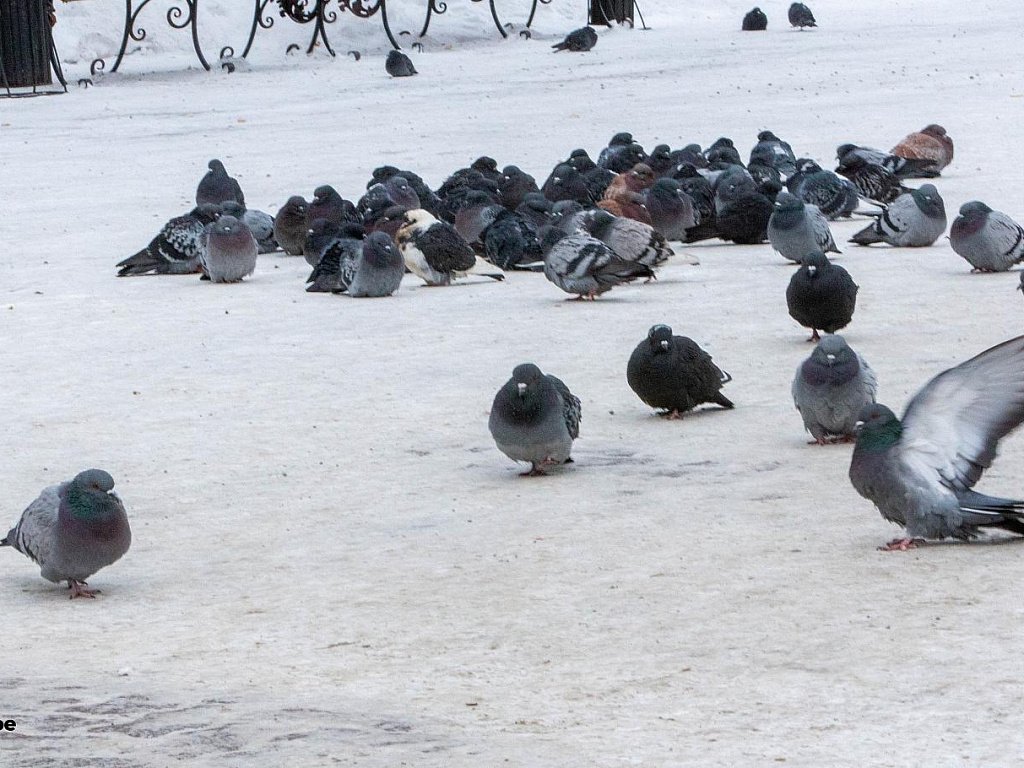 В Челябинскую область возвращается потепление