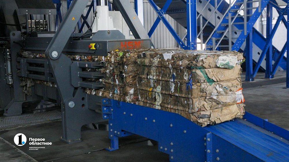 На магнитогорском мусорном полигоне хищных птиц обучат отпугивать стаи других пернатых