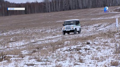 Перед Новым годом усилят защиту елей