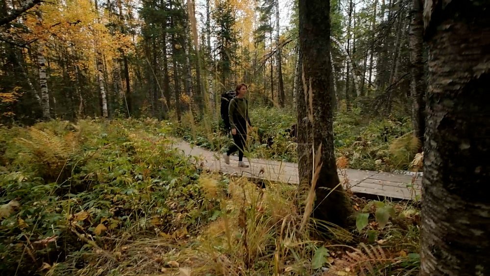 Обмани Дарвина от 18.11.2022