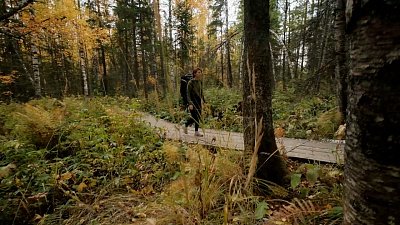 Обмани Дарвина от 18.11.2022