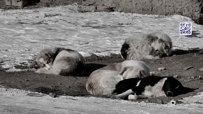 Происшествия недели 19.11.2022