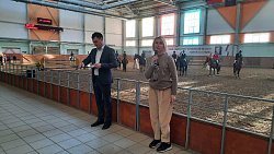 В Челябинской области прошел Кубок губернатора по конному спорту