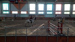 В Челябинской области прошел Кубок губернатора по конному спорту