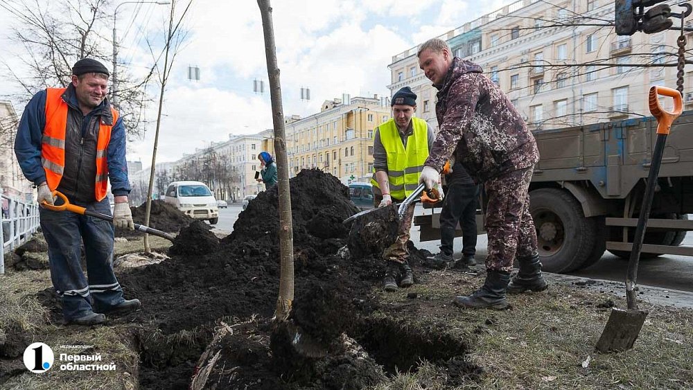 В Челябинске создадут службу по озеленению города и питомник