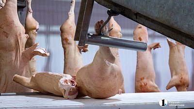 Челябинский мясоперерабатывающий завод «Вюрст» продали с торгов за 49 млн рублей