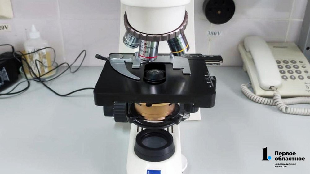 В Челябинской области разработали новый биопестицид для растений