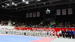 Около 400 участников заявились на всероссийский турнир по тхэквондо в Магнитогорске